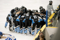 U19AA Edmonton Elite